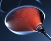 Jak poznat kvalitní víno